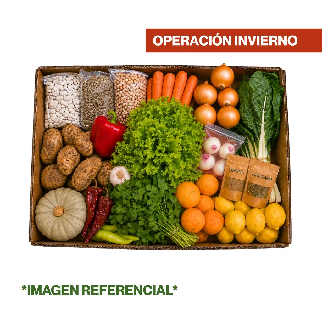 CAJITA OPERACION INVIERNO