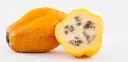 PAPAYA KG