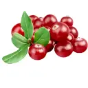  CRANBERRY 500 GR