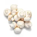 CHAMPIÑON KG