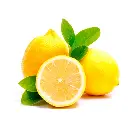 LIMON KG