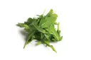 RUCULA KG